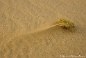 Creation d'une dune 4163_wm